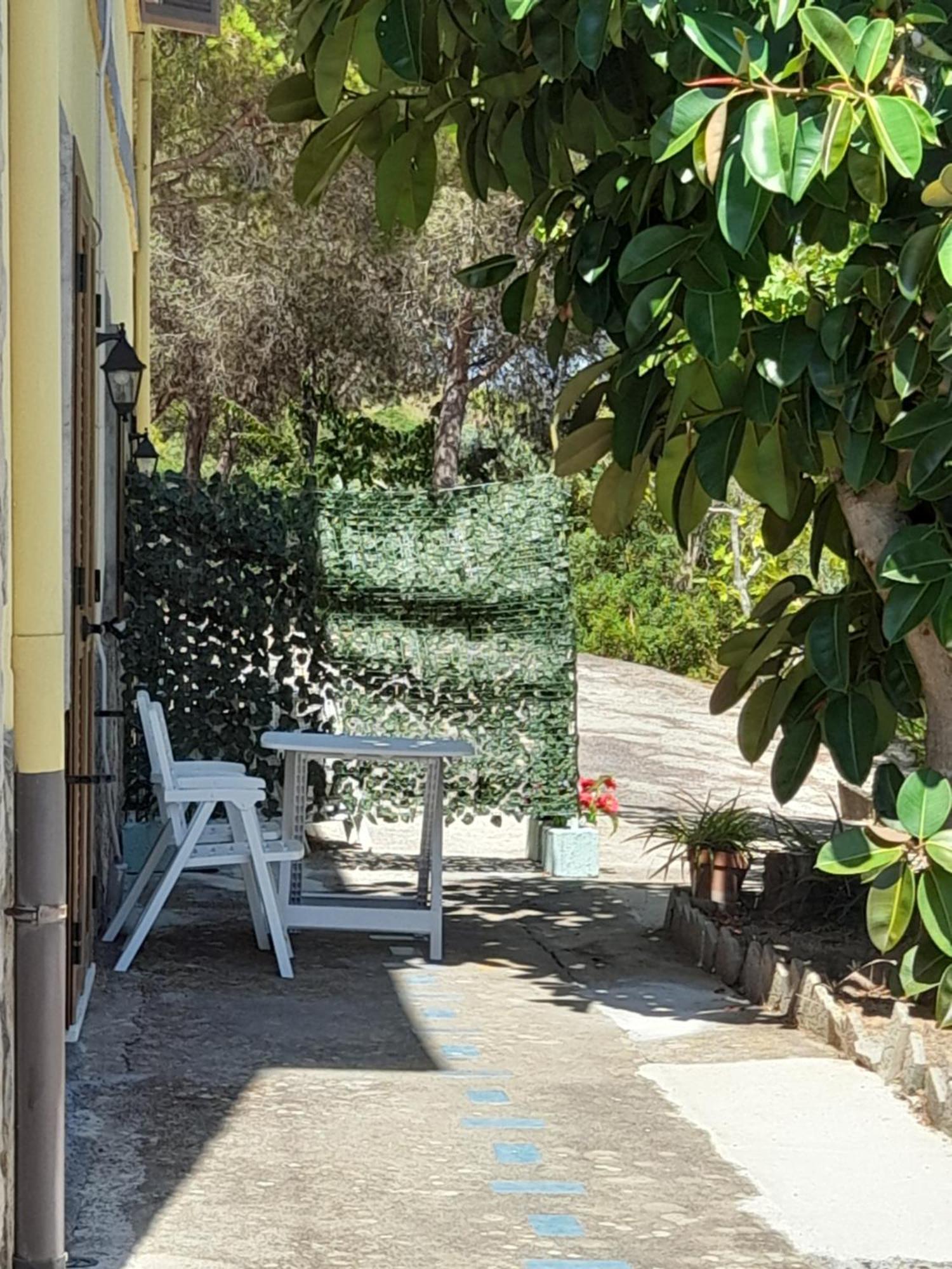 Villa Filomena Montecorice Exterior photo
